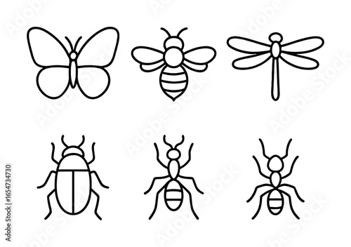 Simple black line drawings of insects including butterfly, bee, dragonfly, beetle, and ants