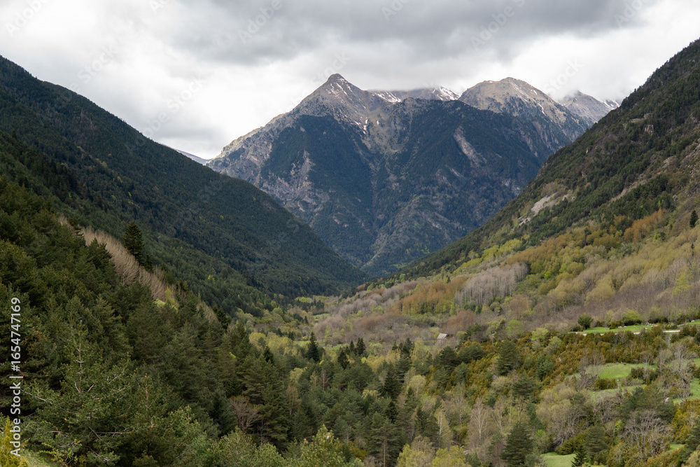 Fototapeta premium clouds over the mountains