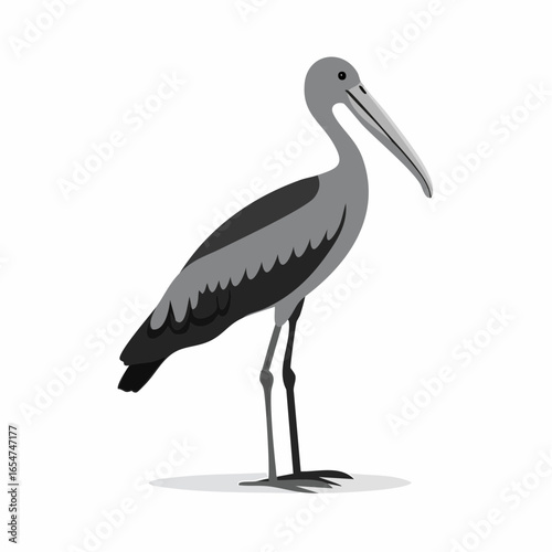 Shoebill Stork Standing. Black and white Shoebill Stork Standing image vector on white background.