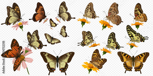 A diverse collection of illustrated butterflies in various poses, some flying and others feeding on pink and yellow flowers.