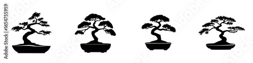 Bonsai trees displayed in various styles showcasing nature's artistry and tranquility