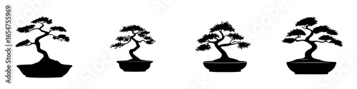 Bonsai trees showcasing various styles and shapes in a minimalist design