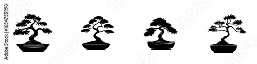 Different styles of bonsai trees displayed on pots in a minimalist arrangement highlighting traditional plant care