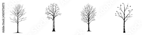 Four seasons represented by trees showcasing their transformations through winter, spring, summer, and autumn stages