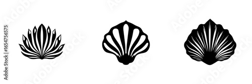 Different types of shell designs featuring intricate patterns and shapes on a plain background