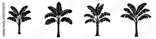 Various silhouettes of tropical palm trees displayed in different poses in a minimalist style