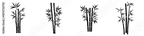 Bamboo varieties side by side showcasing intricate textures and forms in monochrome