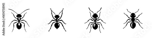 Detailed illustrations of ants showcasing different perspectives and forms in black silhouette