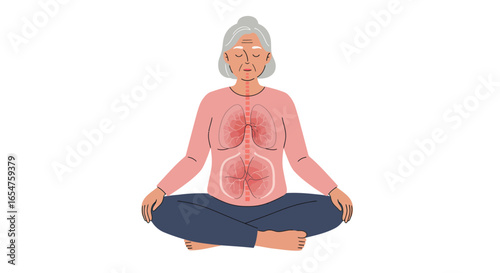 Senior woman meditating with anatomical lungs and diaphragm for respiratory health awareness, vector origin