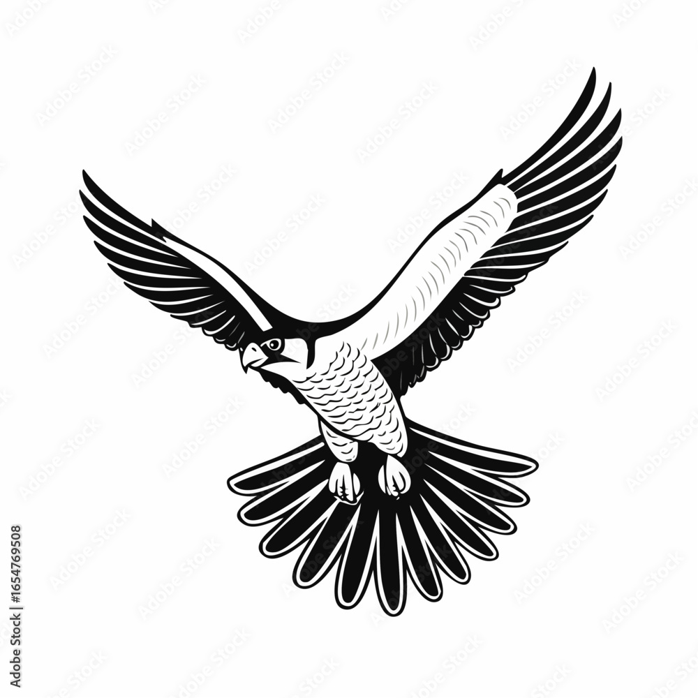 Fototapeta premium Falcon Flying Vector Image. Peregrine Falcon Bird Flying Vector Illustration.