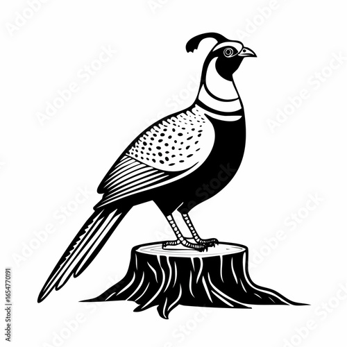 Pheasant standing on a tree stump vector image isolated on white background.