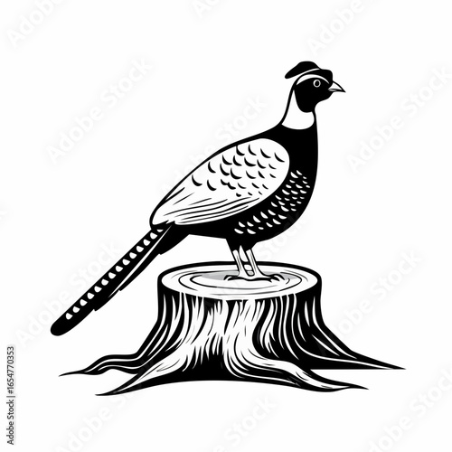 Pheasant standing on a tree stump vector image isolated on white background.