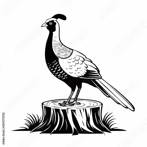 Pheasant standing on a tree stump vector image isolated on white background.