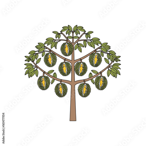 Illustration depicts a stylized durian tree laden with ripe, spiky fruit, isolated on white.