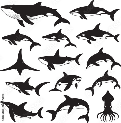 Fifteen Black Silhouette Marine Animals Including Whales Sharks and Squid on White Background ocean life