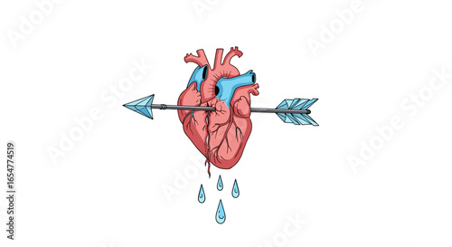An arrow pierces a realistic human heart causing it to bleed a few droplets of blood
