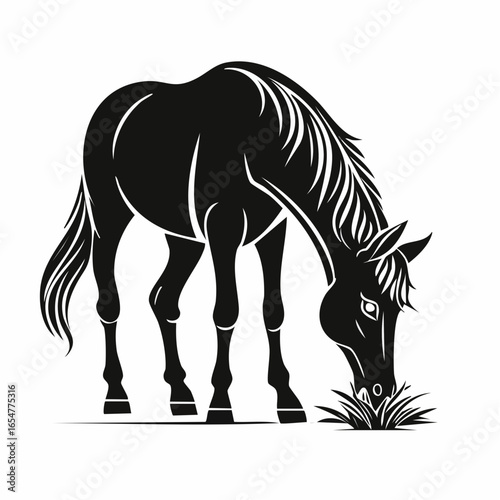 Horse Eating Grass image vector. Horse Eating Grass Stock Illustration on white background.
