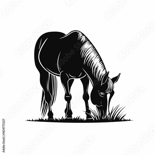 Horse Eating Grass image vector. Horse Eating Grass Stock Illustration on white background.