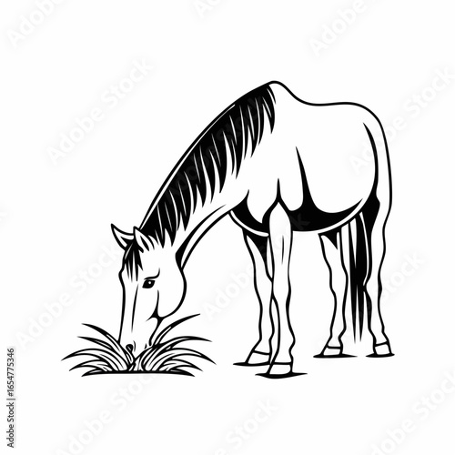Horse Eating Grass image vector. Horse Eating Grass Stock Illustration on white background.