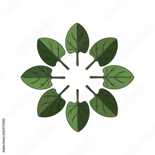 A stylized illustration of eight green spinach leaves arranged in a circular pattern.