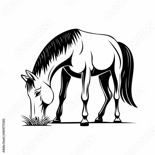 Horse Eating Grass image vector. Horse Eating Grass Stock Illustration on white background.