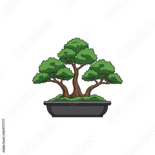 Illustration of a bonsai tree with green foliage in a dark gray rectangular pot.