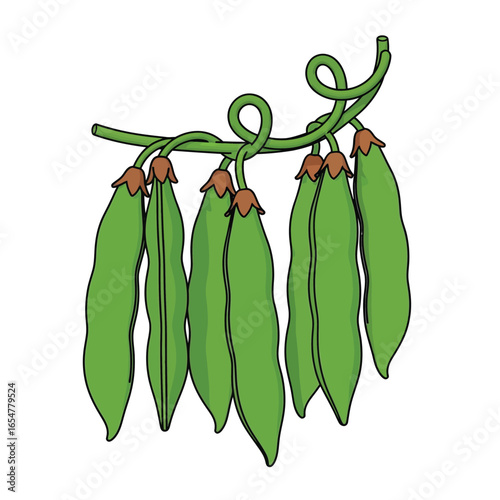 A vibrant illustration of a pea plant branch, showcasing several green pea pods.