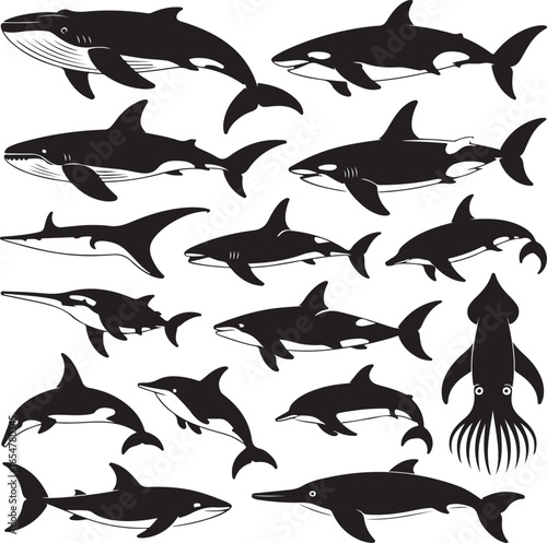 Collection of Black Silhouettes of Marine Mammals and Cephalopod whale killer whale