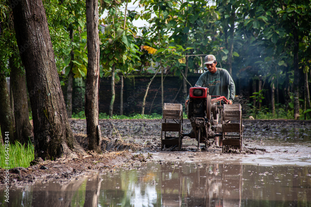 Fototapeta premium A farmer is using a hand tractor in a muddy rice field.