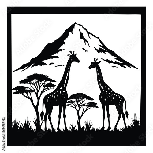 giraffe in the savannah
