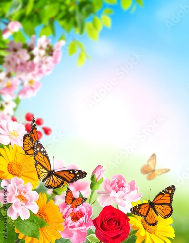 Vibrant spring flowers and butterflies