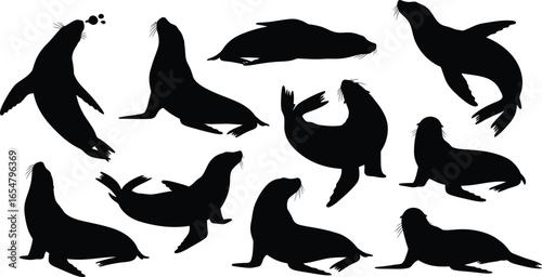 A collection of black vector silhouettes of various animals, including a cat, bird, and bear