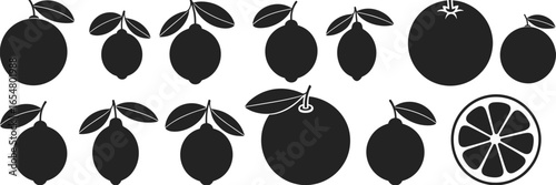 Citrus fruit silhouettes, lemon, lime, orange, grapefruit, vector illustration, healthy food, fresh design, vitamin C, beverage concept