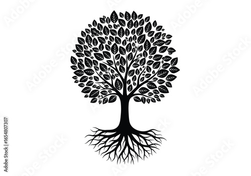 Black and white silhouette of a tree with visible roots isolated on white background