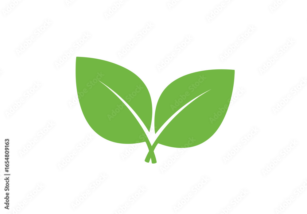 Fototapeta premium Two green leaves isolated on white background