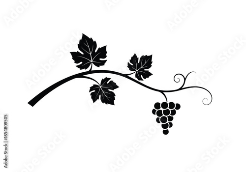A black silhouette of a grapevine with leaves and a bunch of grapes isolated on white background
