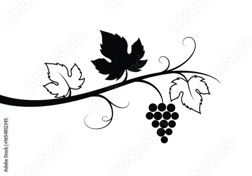 Black and white illustration of a grapevine with leaves and a bunch of grapes isolated on white background
