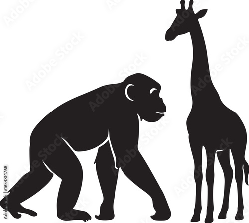 vector illustration of a giraffe and a donkey