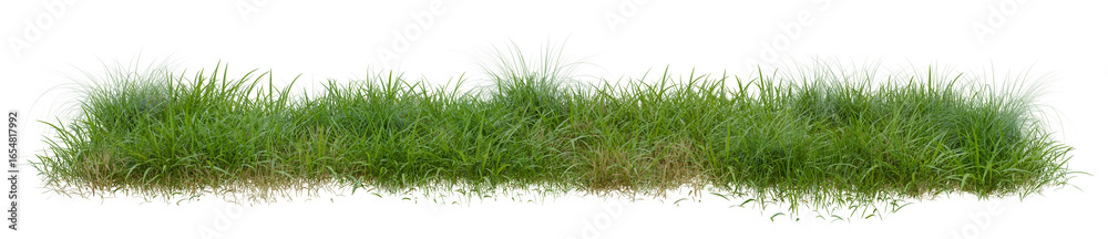 Obraz premium PNG transparent background of grass row, 3d illustration rendering