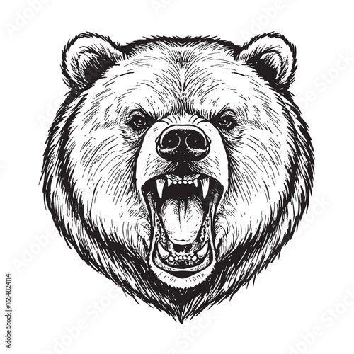 Angry Roaring Grizzly Bear Head Illustration.