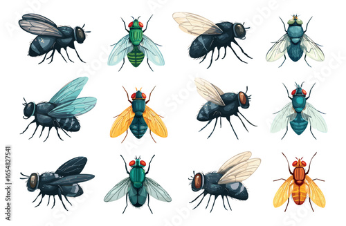 Cartoon housefly. Fly insect houseflies, black grey green yellow bug with wing pest domestic insects house flies set vector illustration