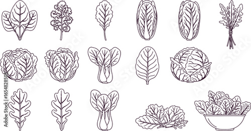Fresh green vegetables collection, healthy eating and cooking inspiration