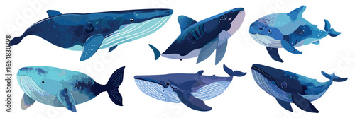 Watercolor whales set. Ocean mammals underwater animals, big blue fish killer whale sea under water deep marine life cartoon vector illustration