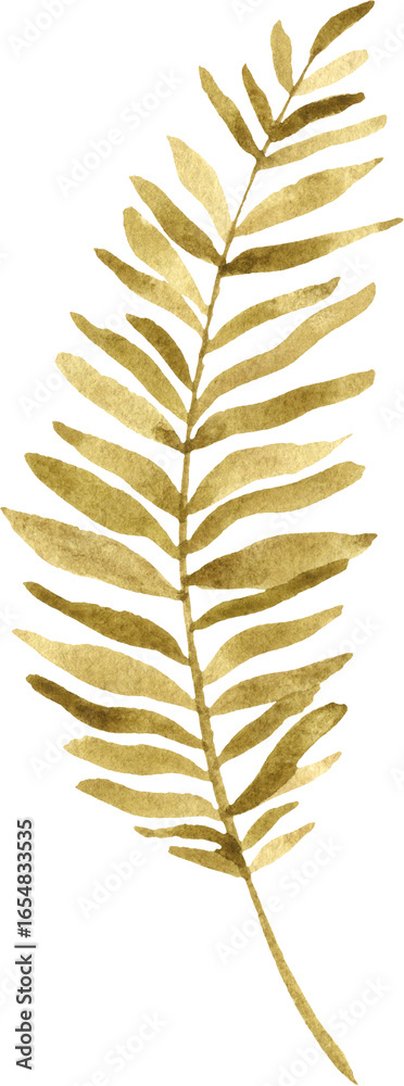 Naklejka premium Fern Leaf Watercolor