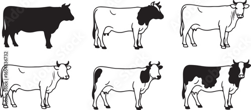 Six different cow illustrations in black and white line art and silhouette cattle