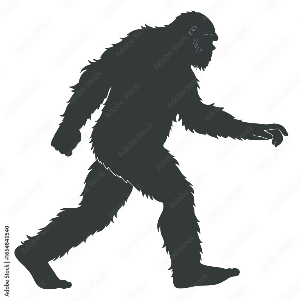 Obraz premium Bigfoot silhouette walking creature mystery cryptid sasquatch legend mythical isolated illustration