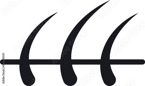 Close up microscopic view of three healthy black hair strands growing from the scalp on a clean white background