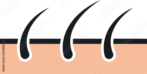 Close up illustration of healthy hair follicles growing from the skin representing hair growth and scalp health