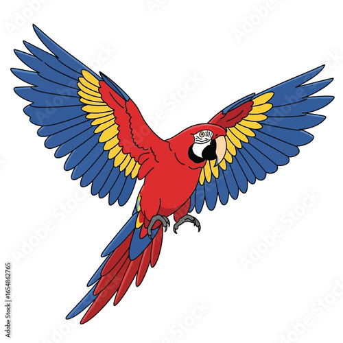 Colorful macaw parrot with red body, blue and yellow wings, flying with wings spread wide.