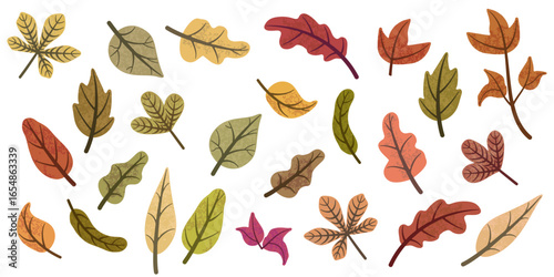 Colorful autumn leaves falling from trees creating a vibrant carpet